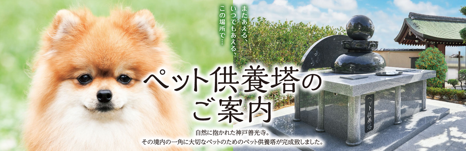 ペット供養塔のご案内　自然に抱かれた神戸善光寺。その境内の一角に大切なペットのためのペット供養塔が完成いたしました。