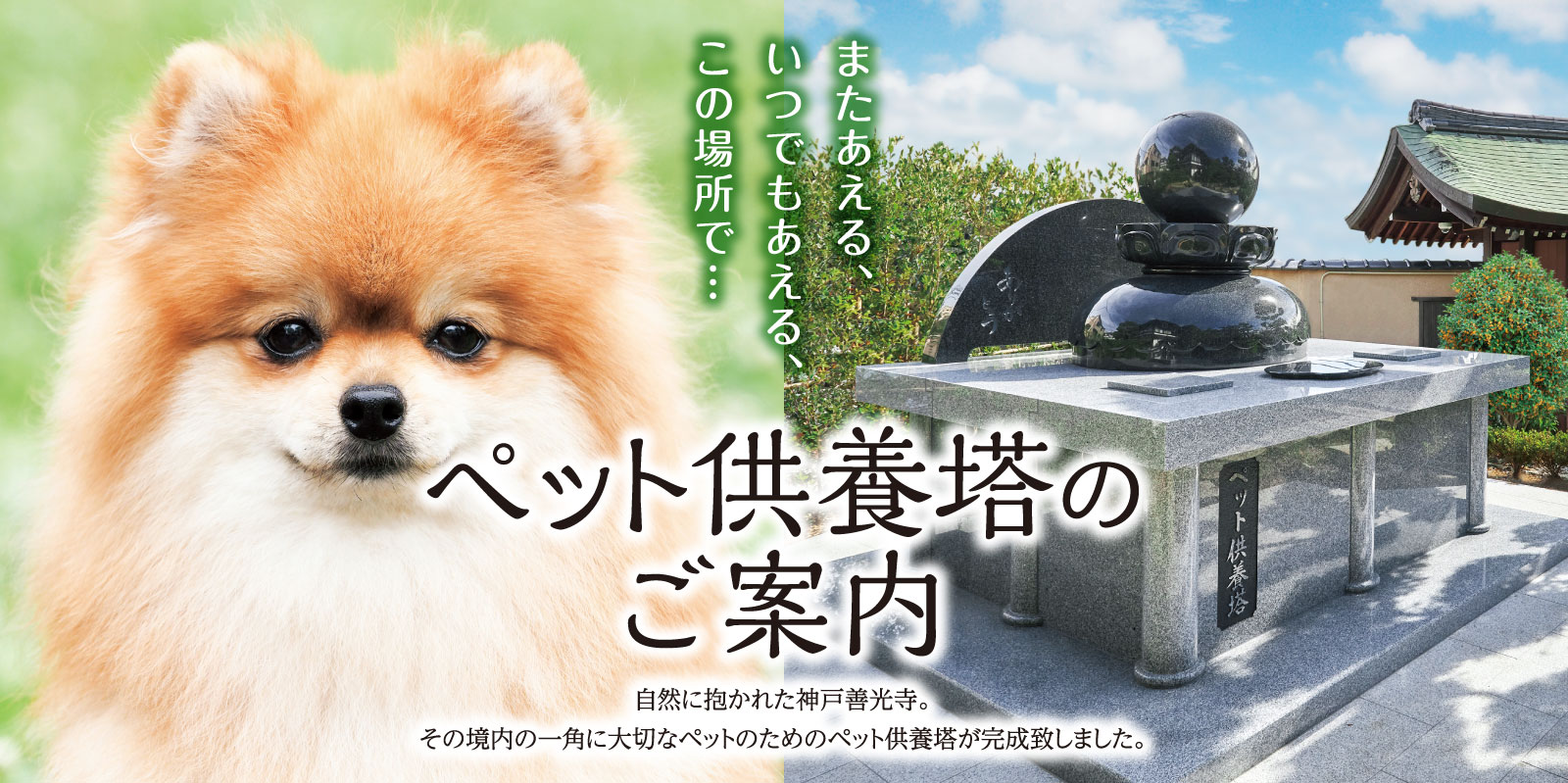 ペット供養塔のご案内　自然に抱かれた神戸善光寺。その境内の一角に大切なペットのためのペット供養塔が完成いたしました。